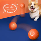 Rechargeable Jumping Dog Ball Toy