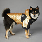 Gold Hooded Dog Raincoat Jacket