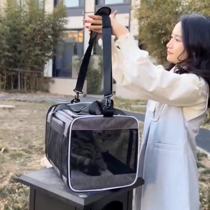 Oxford Pet Carrier Bag with Mesh Panels & Shoulder Strap