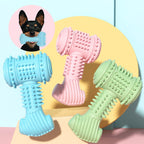 Textured TPR Dog Chew Toy