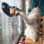 Window-Mounted Cat Track Ball Toy