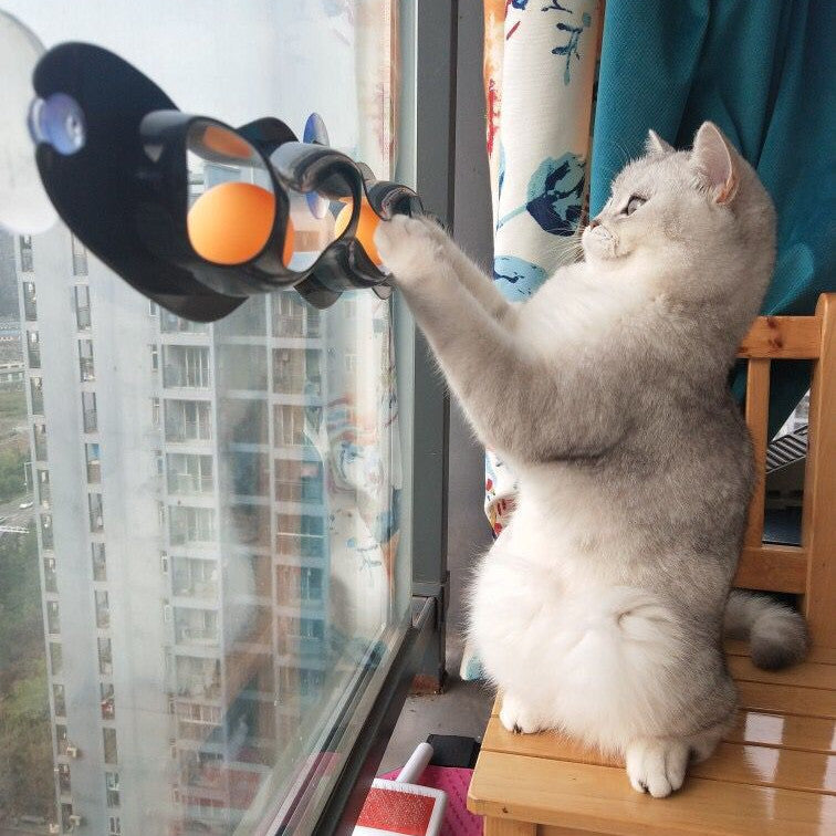 Window-Mounted Cat Track Ball Toy