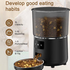 4L Programmable Pet Feeder with Stainless Bowl