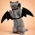 Halloween Bat Wings Costume for Cats & Dogs