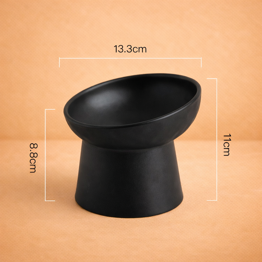 Elevated Ceramic Pet Bowl with Tilted Design