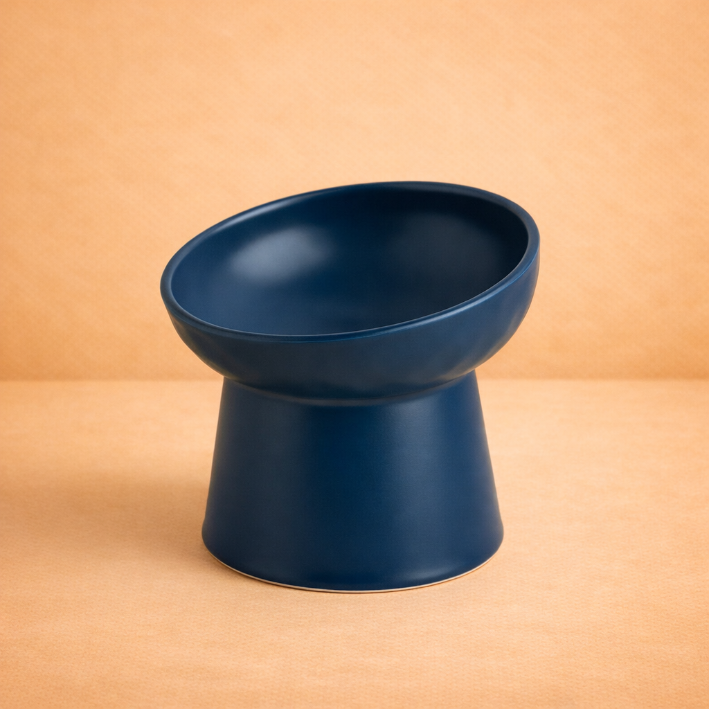 Elevated Ceramic Pet Bowl with Tilted Design