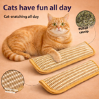 Catnip Sisal Molar Pillow Toy