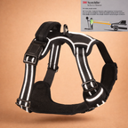 Reflective No-Pull Dog Harness Set