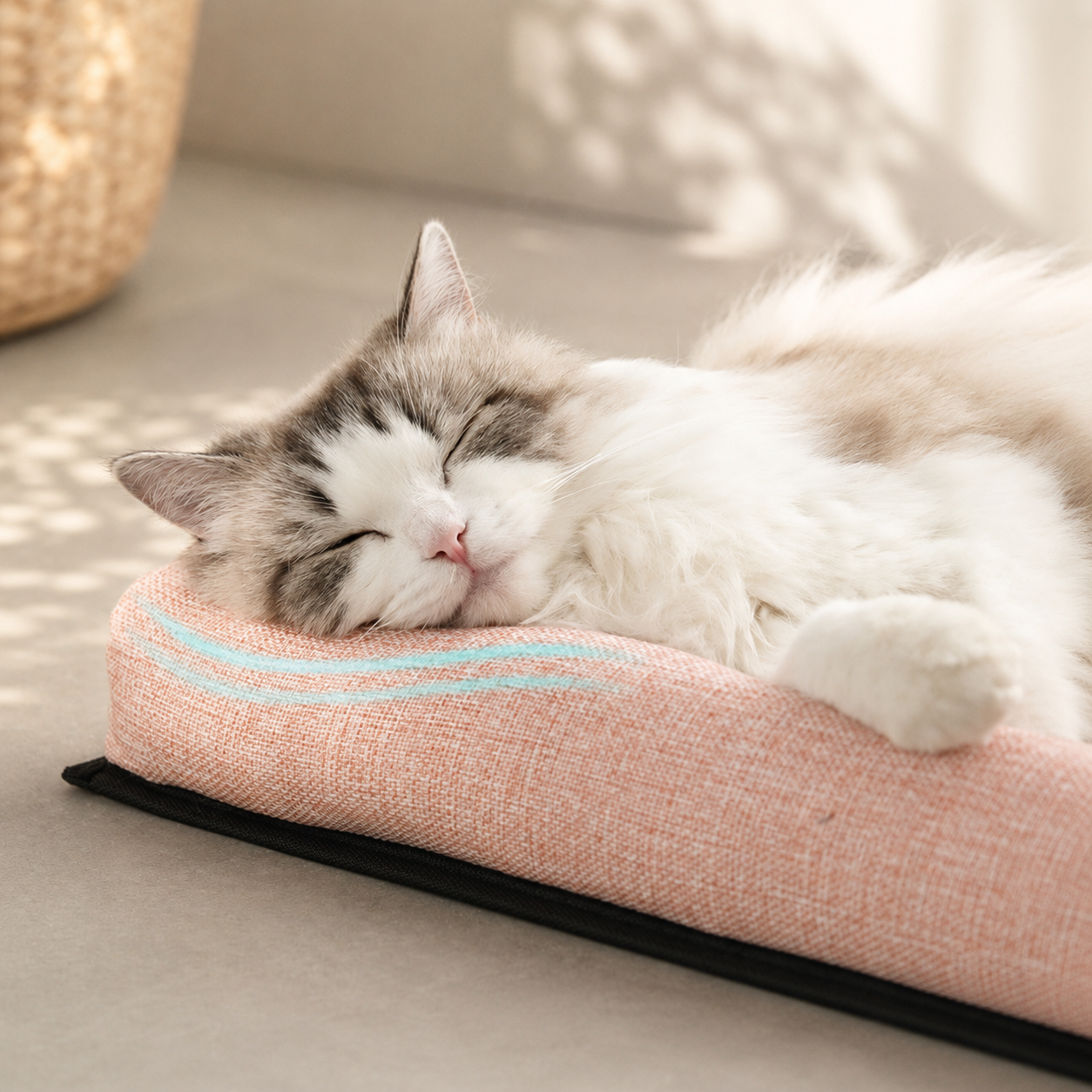 Raised Rattan Cooling Pet Lounger