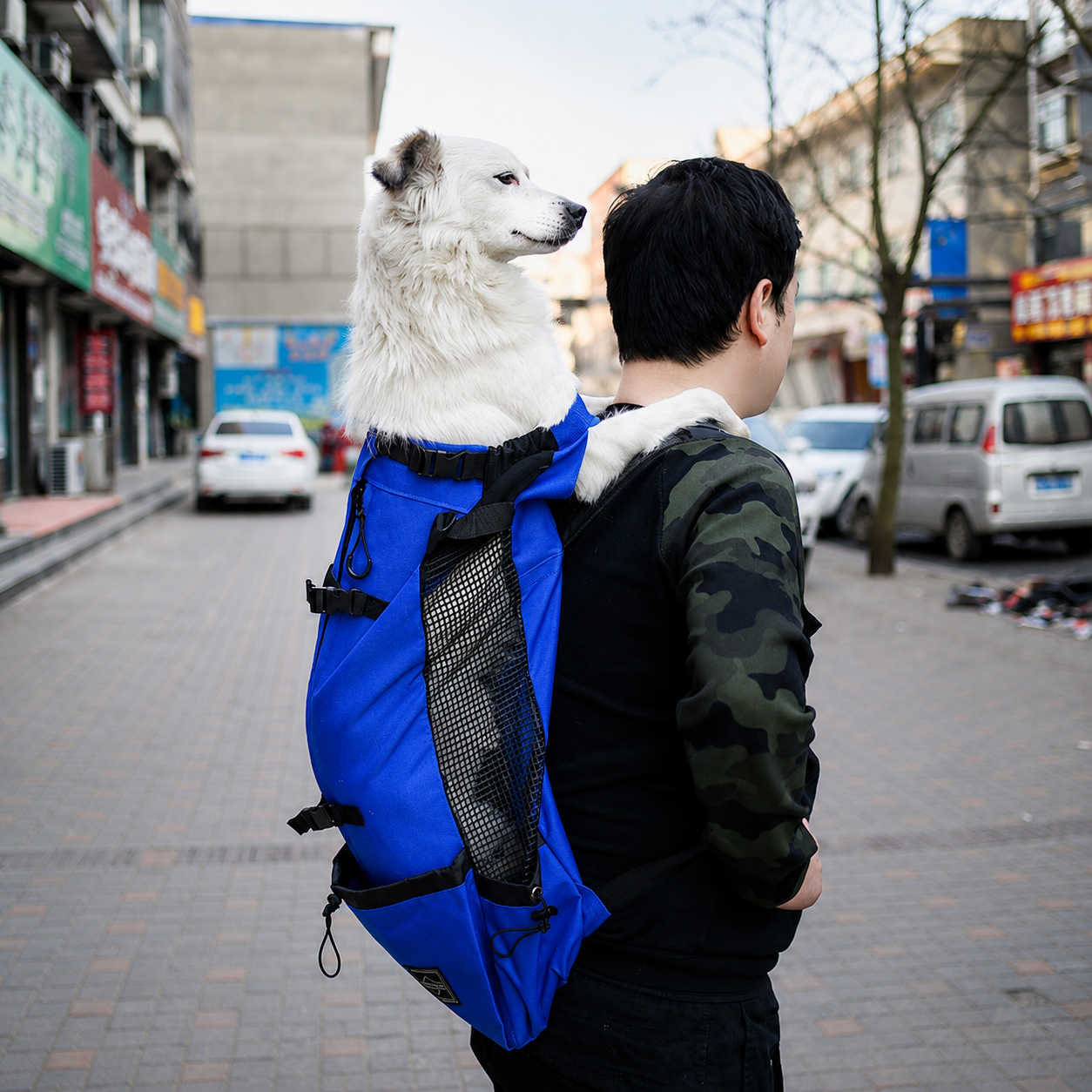 Outdoor Dog Carrier Backpack