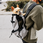 Outdoor Dog Carrier Backpack
