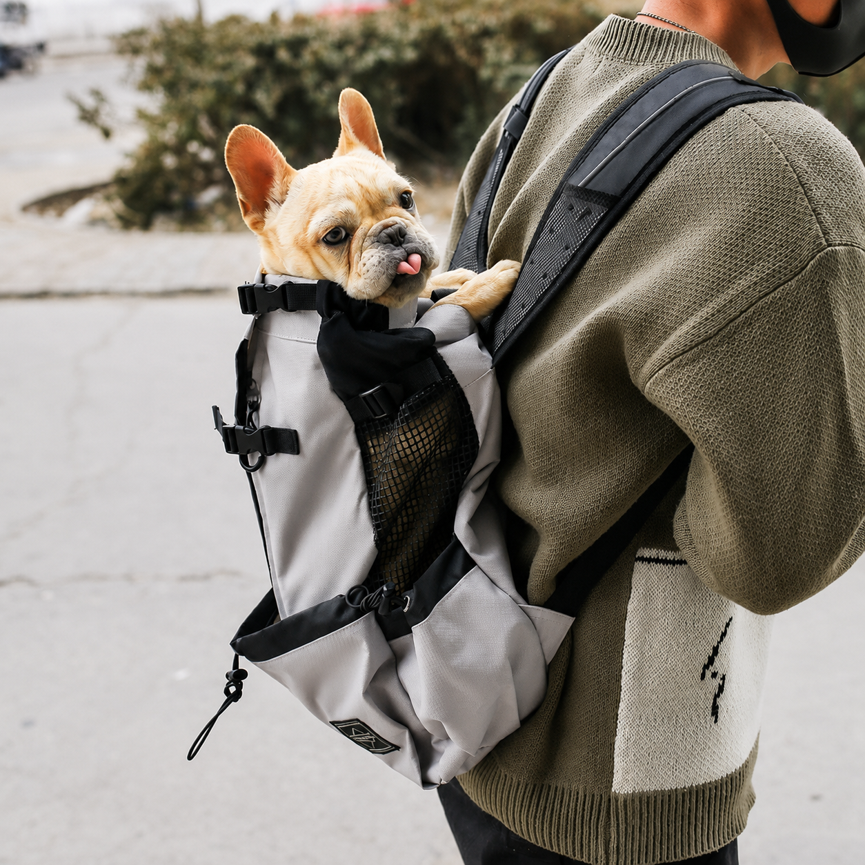Outdoor Dog Carrier Backpack