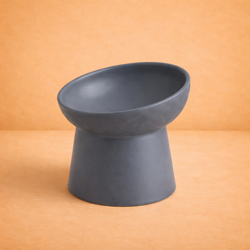 Elevated Ceramic Pet Bowl with Tilted Design