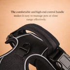 Reflective No-Pull Dog Harness Set