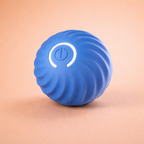 Rechargeable Jumping Dog Ball Toy