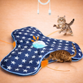 Smart Hide-and-Seek Cat Toy Mat
