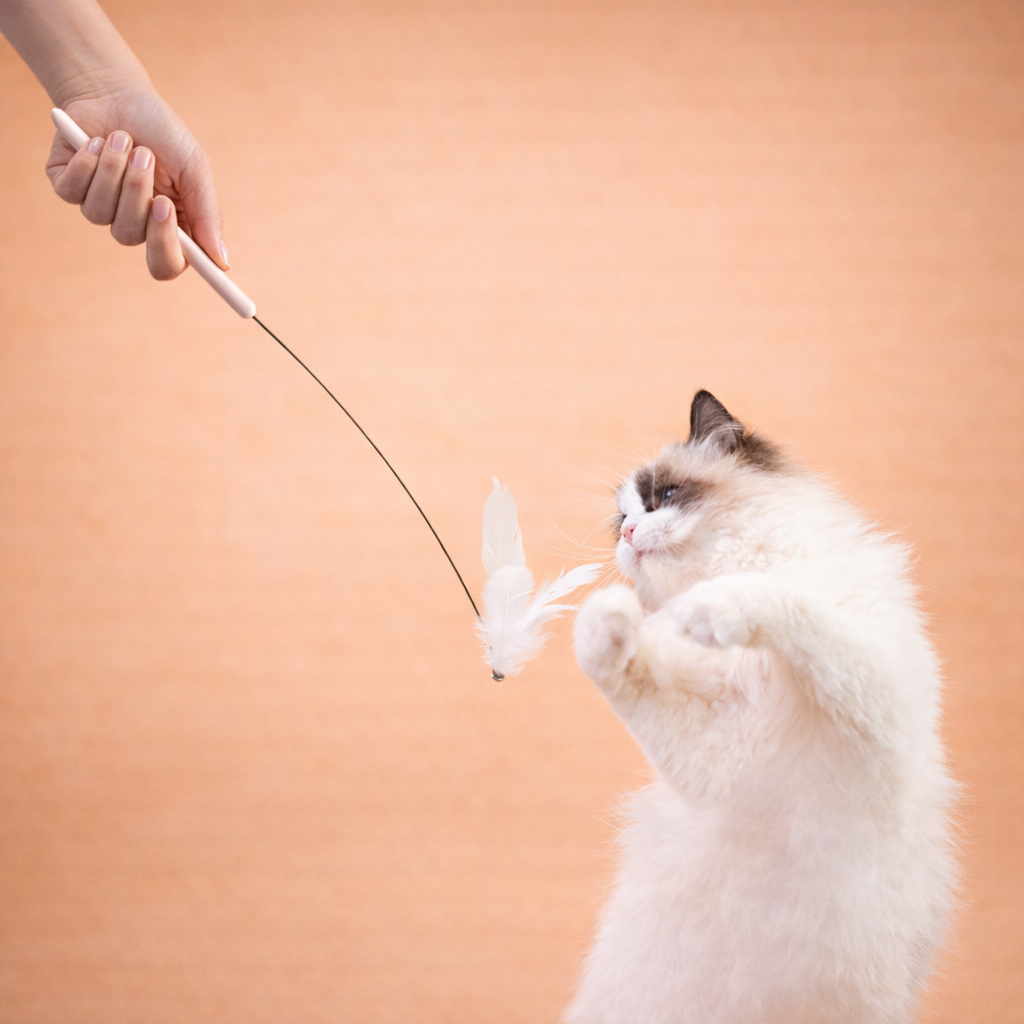 Interactive Feather Cat Wand Toy with Suction Base