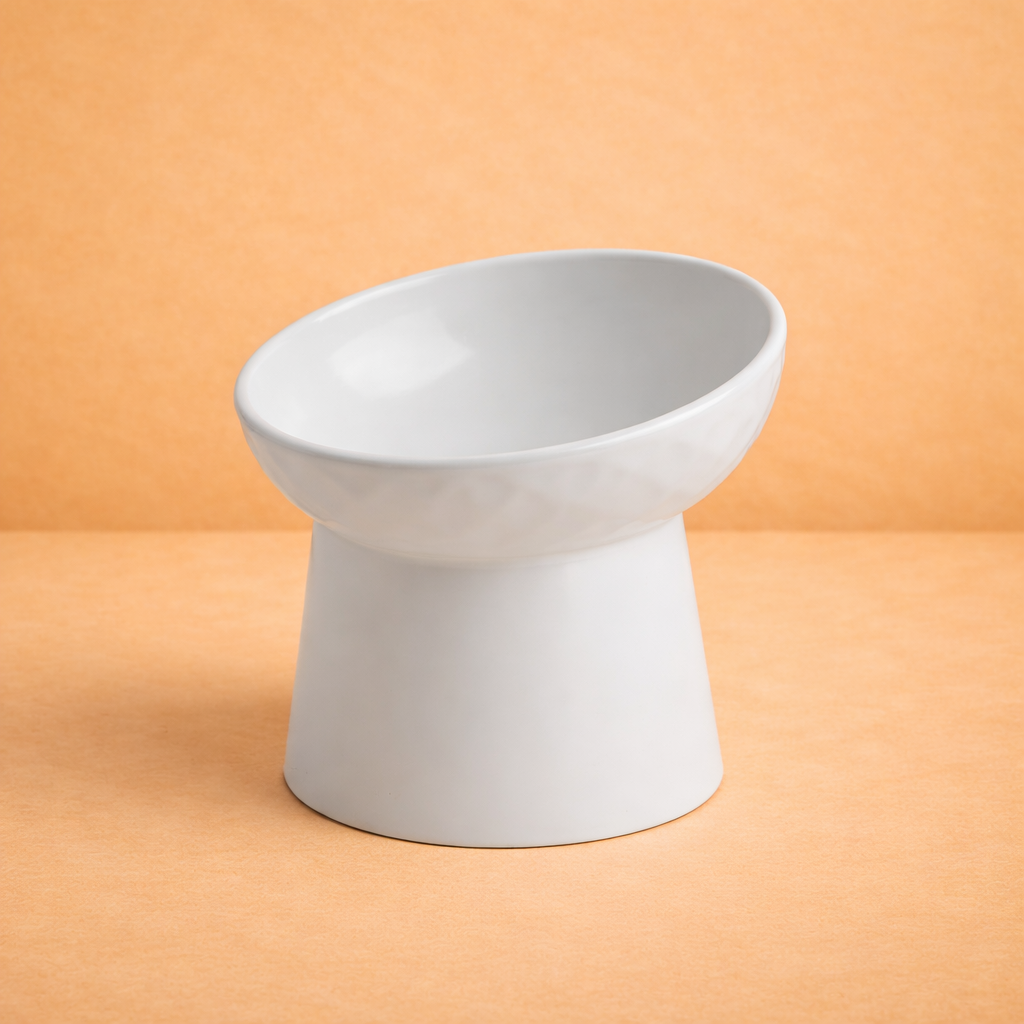 Elevated Ceramic Pet Bowl with Tilted Design
