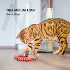 Interactive Electric Snake Cat Toy with USB Rechargeable Motion
