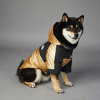 Gold Hooded Dog Raincoat Jacket