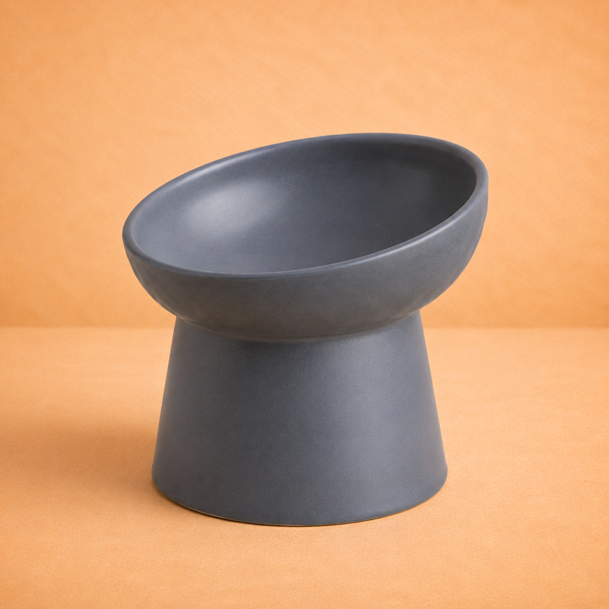 Elevated Tilted Ceramic Pet Bowl
