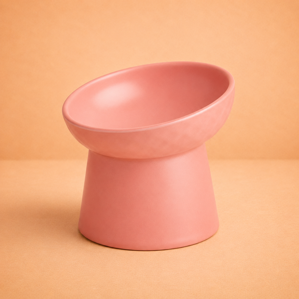 Elevated Tilted Ceramic Pet Bowl