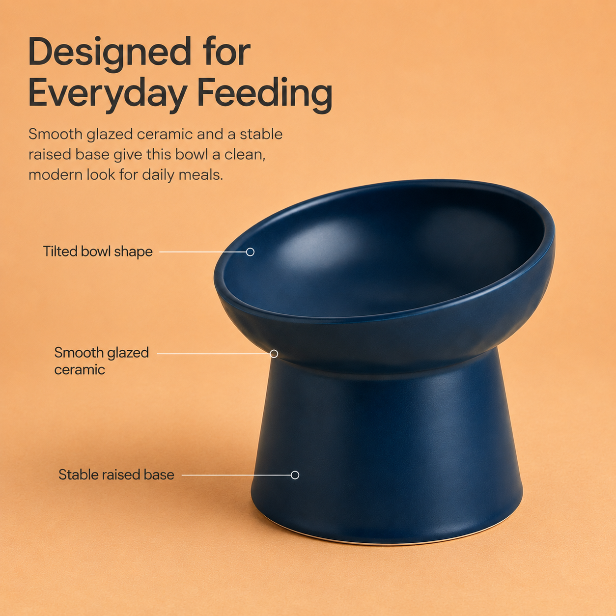 Elevated Tilted Ceramic Pet Bowl