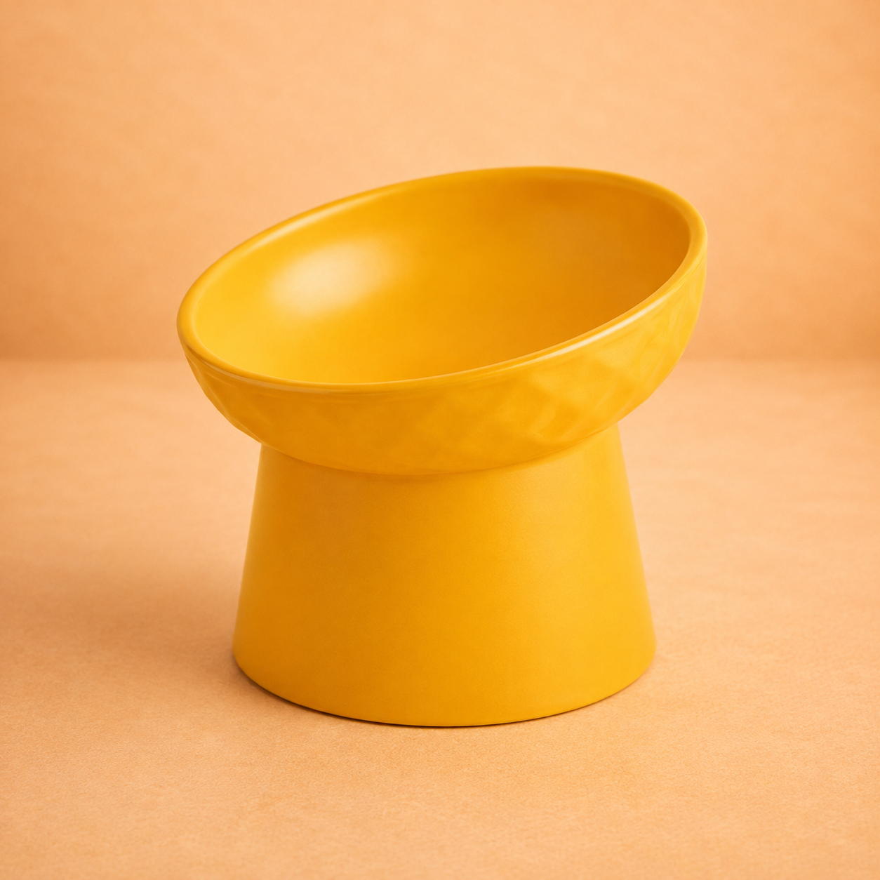 Elevated Tilted Ceramic Pet Bowl
