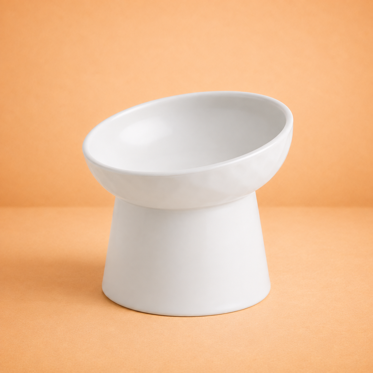 Elevated Tilted Ceramic Pet Bowl