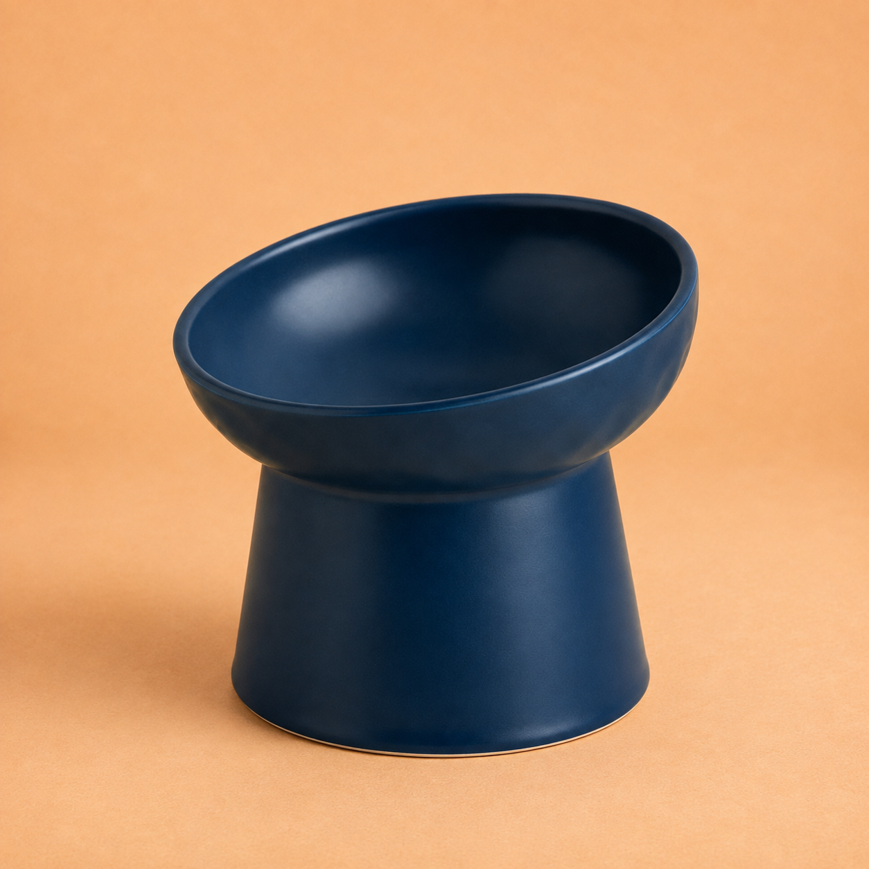 Elevated Tilted Ceramic Pet Bowl