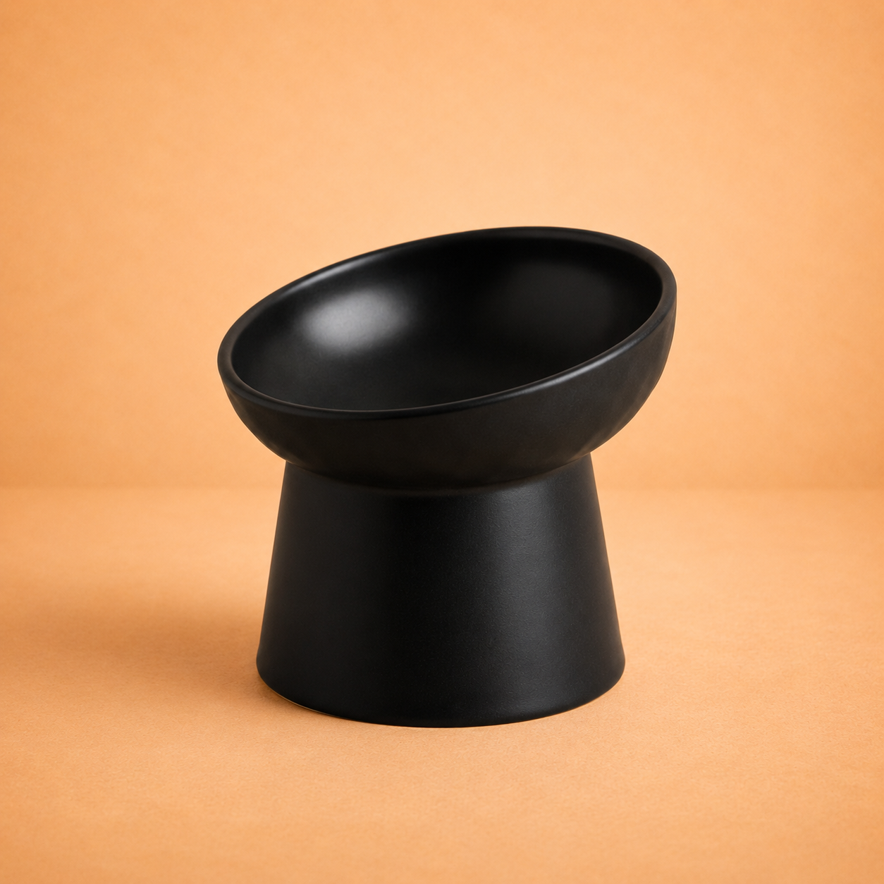 Elevated Tilted Ceramic Pet Bowl